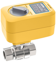 Кран с электроприводом Neptun PROFI 220B 1/2"